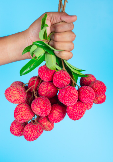 Rhum arrangé litchi rose