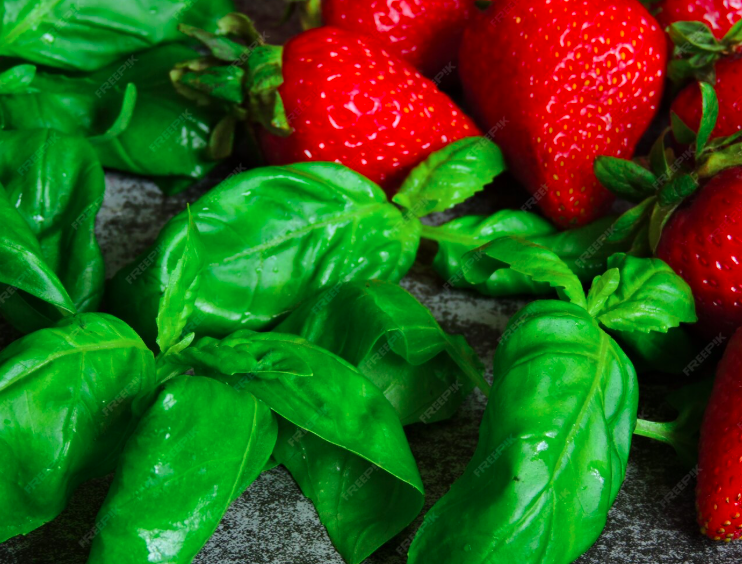 Rhum arrangé fraise basilic