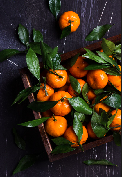 Rhum arrangé mandarine gingembre