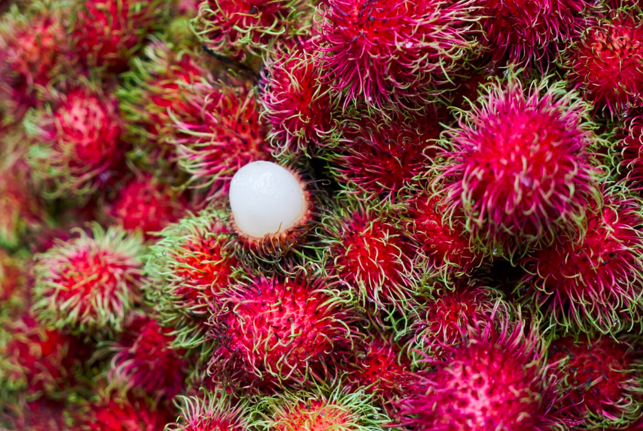 Rhum arrangé ramboutan citronnelle