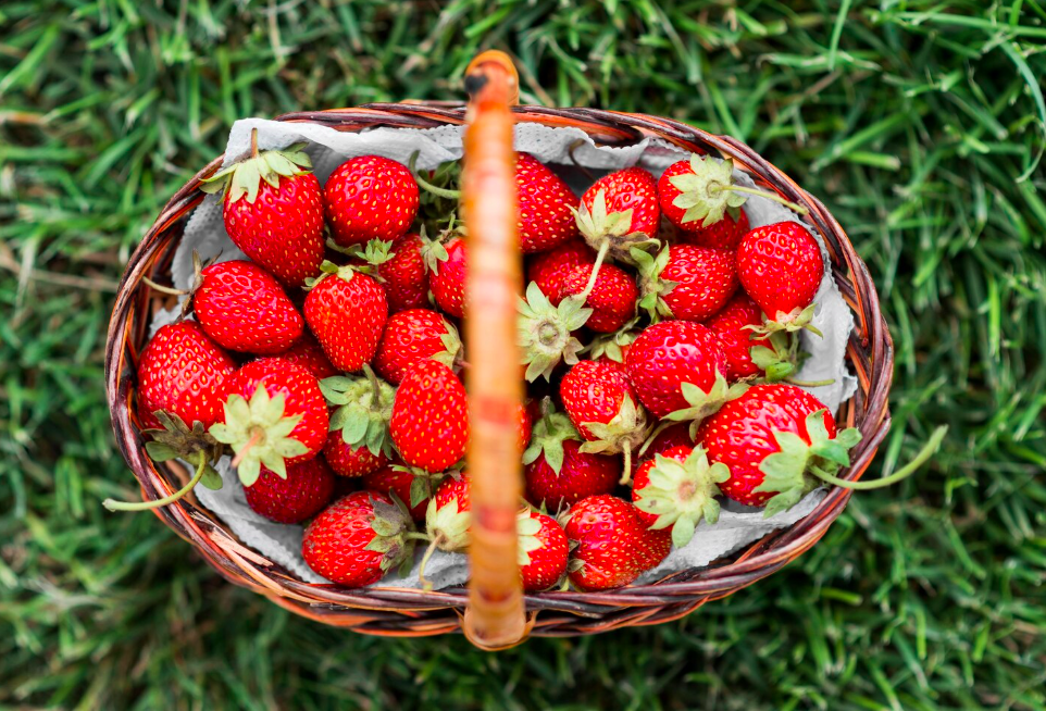 Rhum arrangé fraise des bois champagne