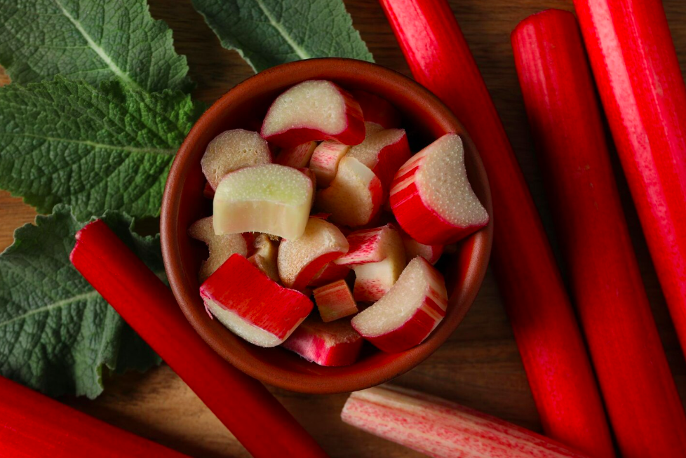 Rhum arrangé rhubarbe gingembre